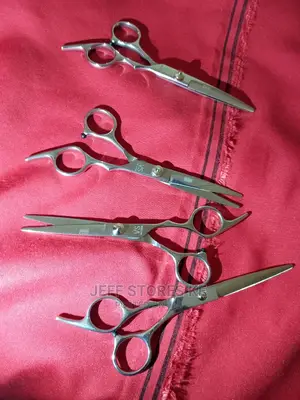 Silver Coated Scissors