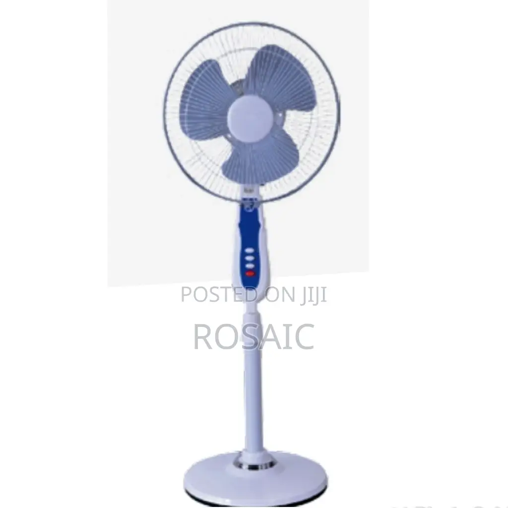 Standing Fan