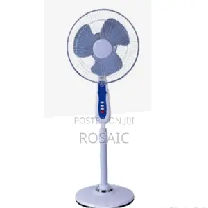 Standing Fan