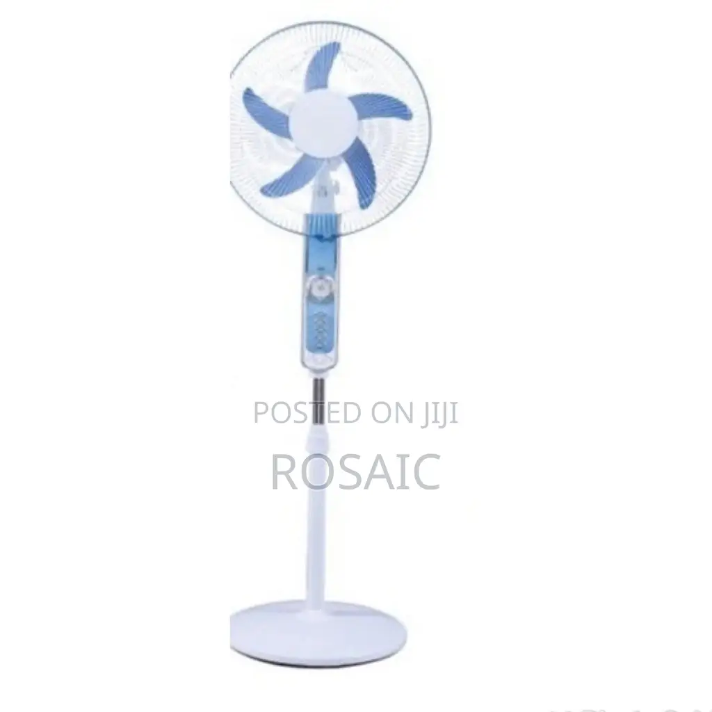 Premier Ac/Dc Standing Fan