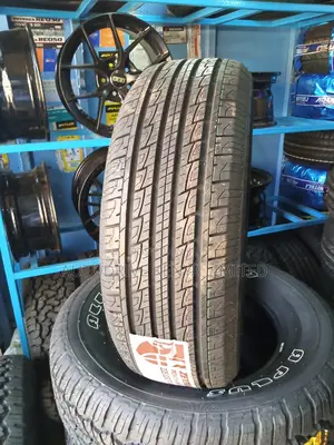 235/55r19 Zextour Tyre