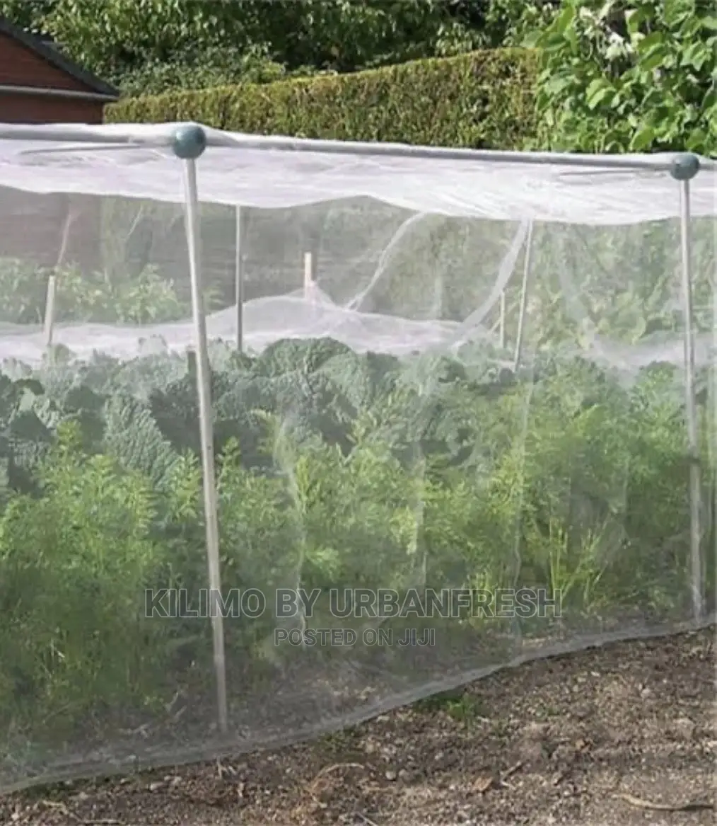 Insect Net 04. 165sqm Roll