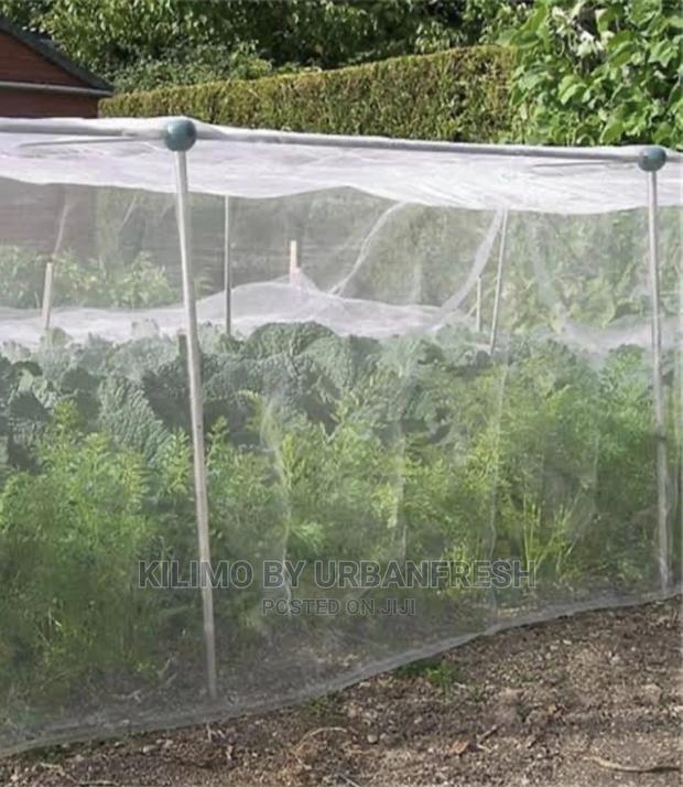 Insect Net 04. 165sqm Roll