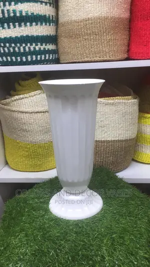 Plant Vases