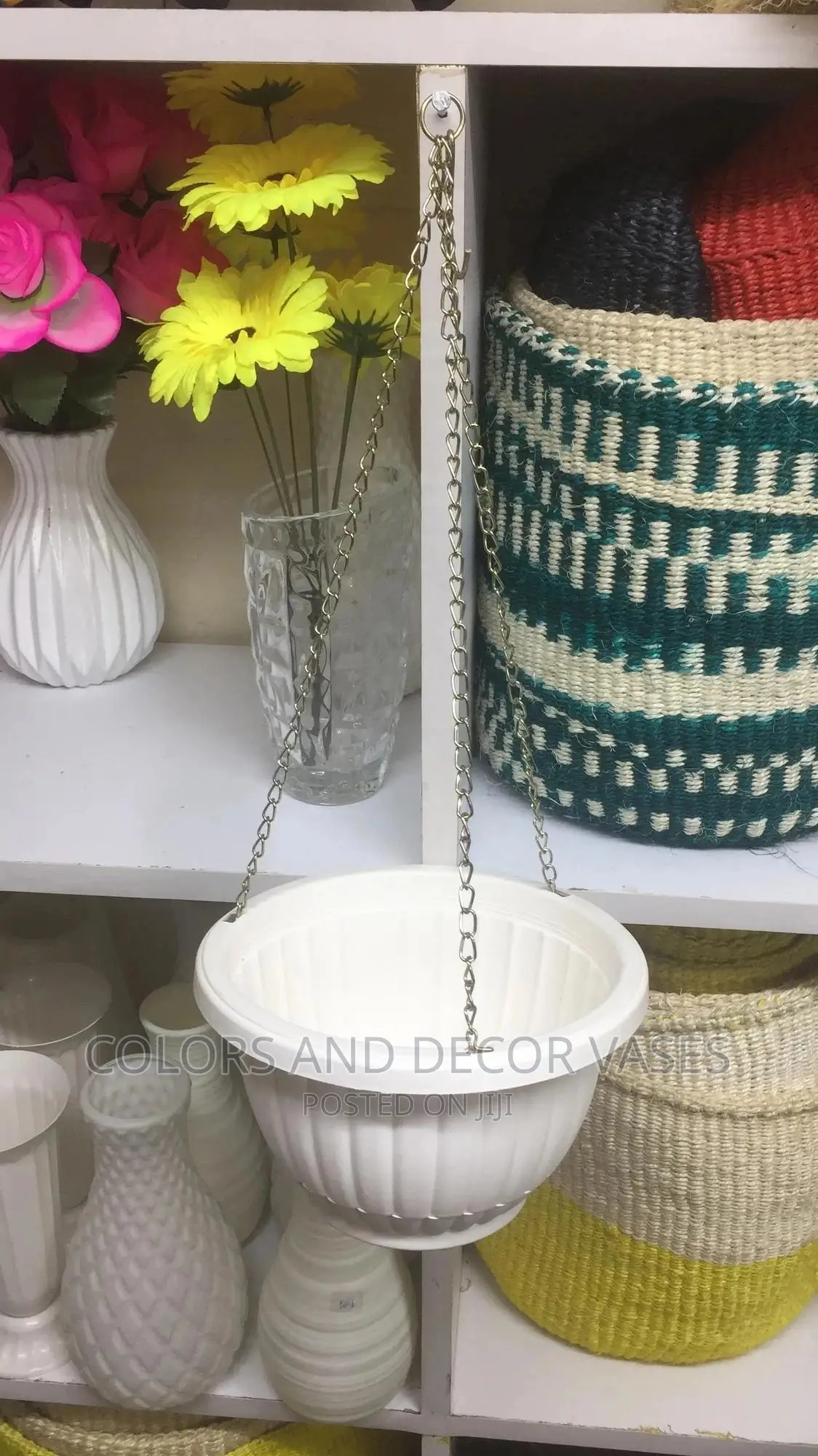 Plant Vases
