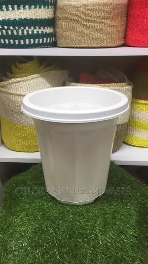 Plant Vases
