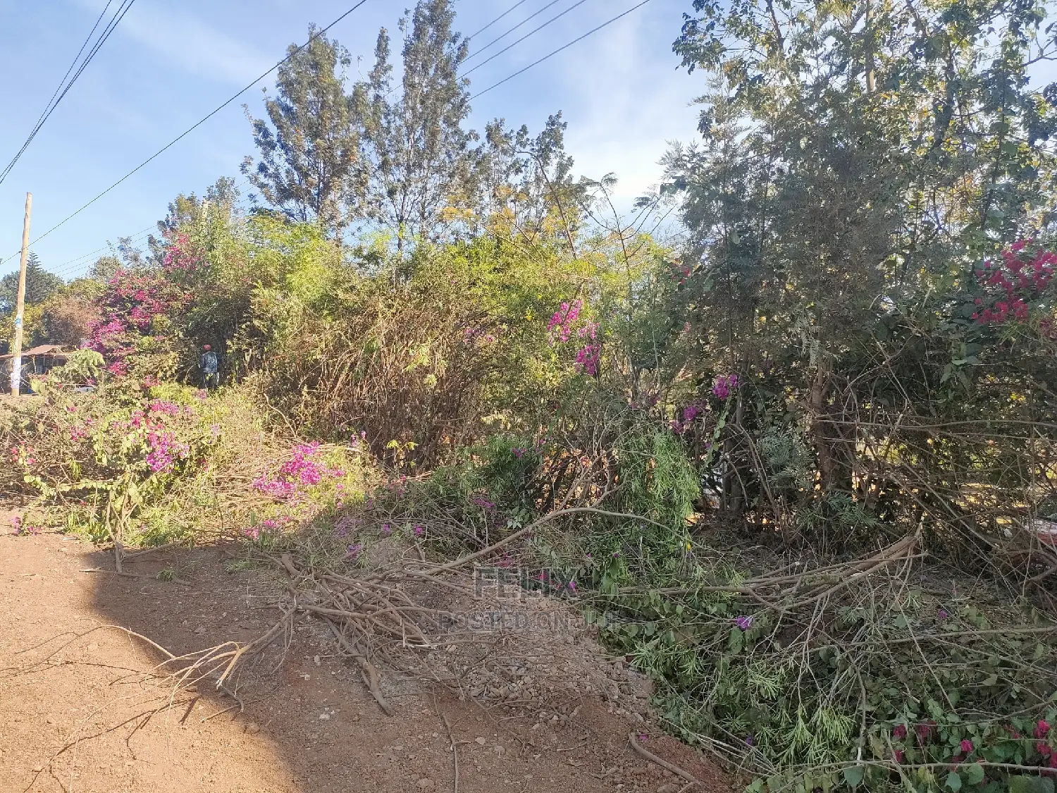 1/2 Acre Sagana/Nairobi Main Tarmac