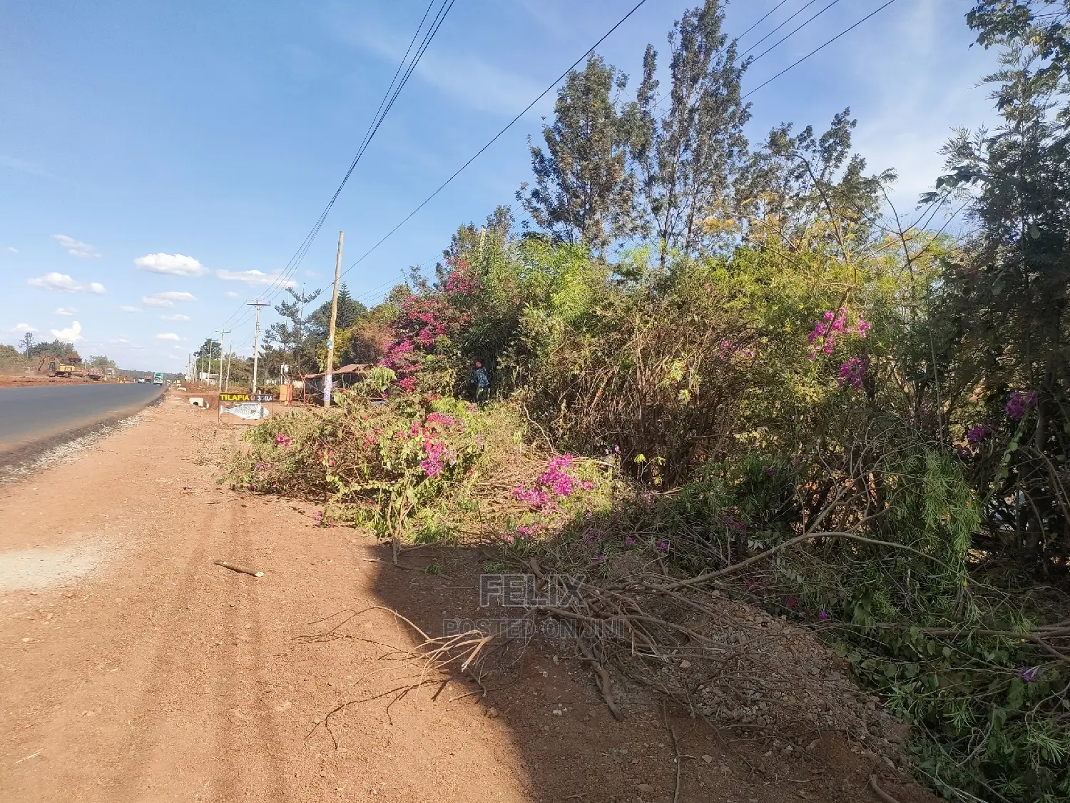 1/2 Acre Sagana/Nairobi Main Tarmac