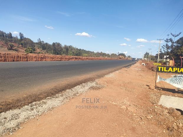 1/2 Acre Sagana/Nairobi Main Tarmac - thumbnail 16