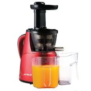 Rebune Slow Juicer