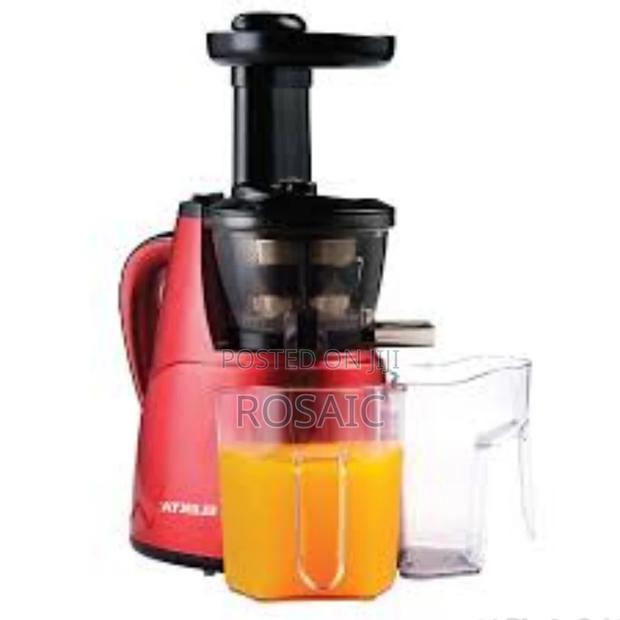 Rebune Slow Juicer