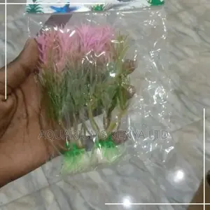 Green Pink Brushed Aquarium Plants