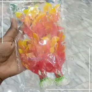 Orange Yellow Brush Aquarium Plants