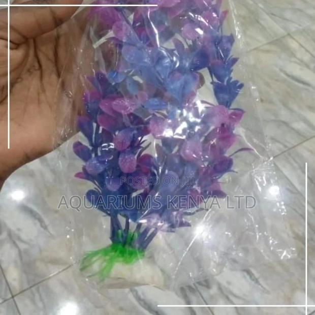 Blue Purple Brush Aquarium Plants
