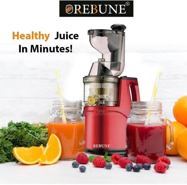Rebune Slow Juicer Model S80 - main view
