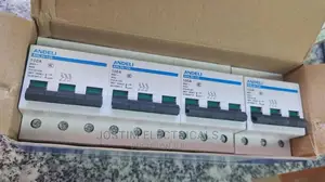 Triple Pole Mcb 100A