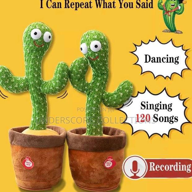 Dancing Cactus - main view