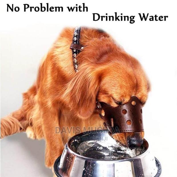 Adjustable Soft PU Leather Safety Dog Muzzle - Small Size - thumbnail 4