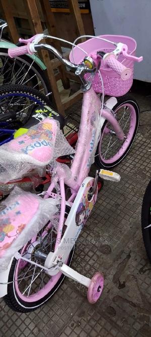 Pink Bicycle 16" - main view