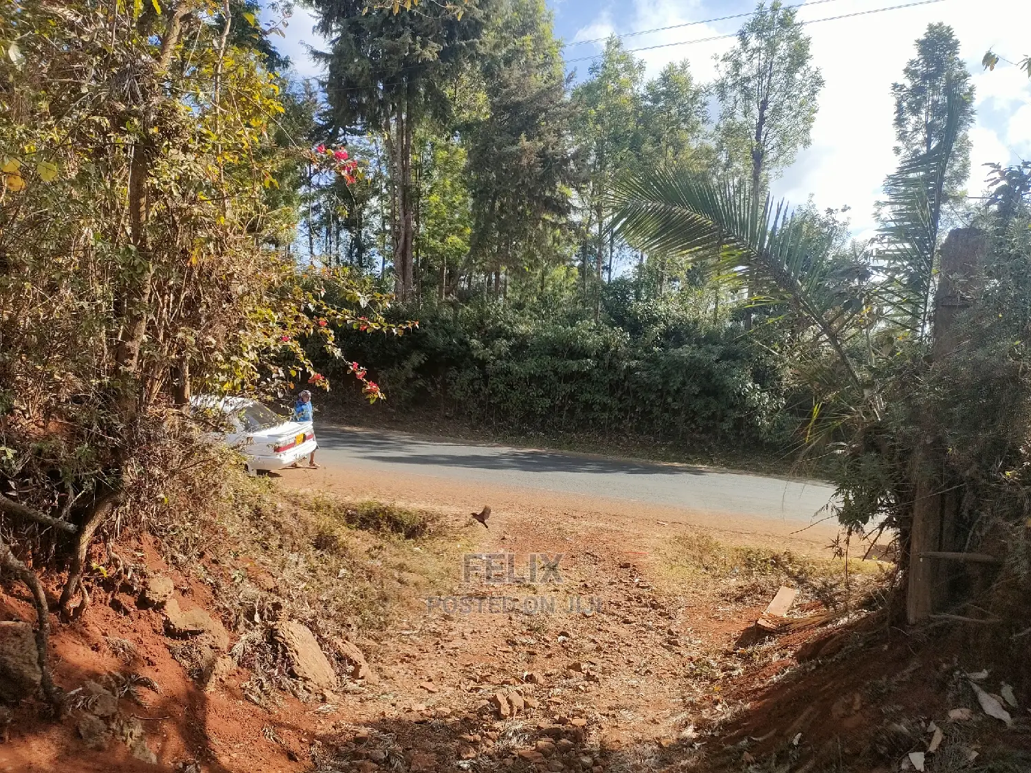 Karatina/ Grandkago Prime Plot Touching Main Tarmac