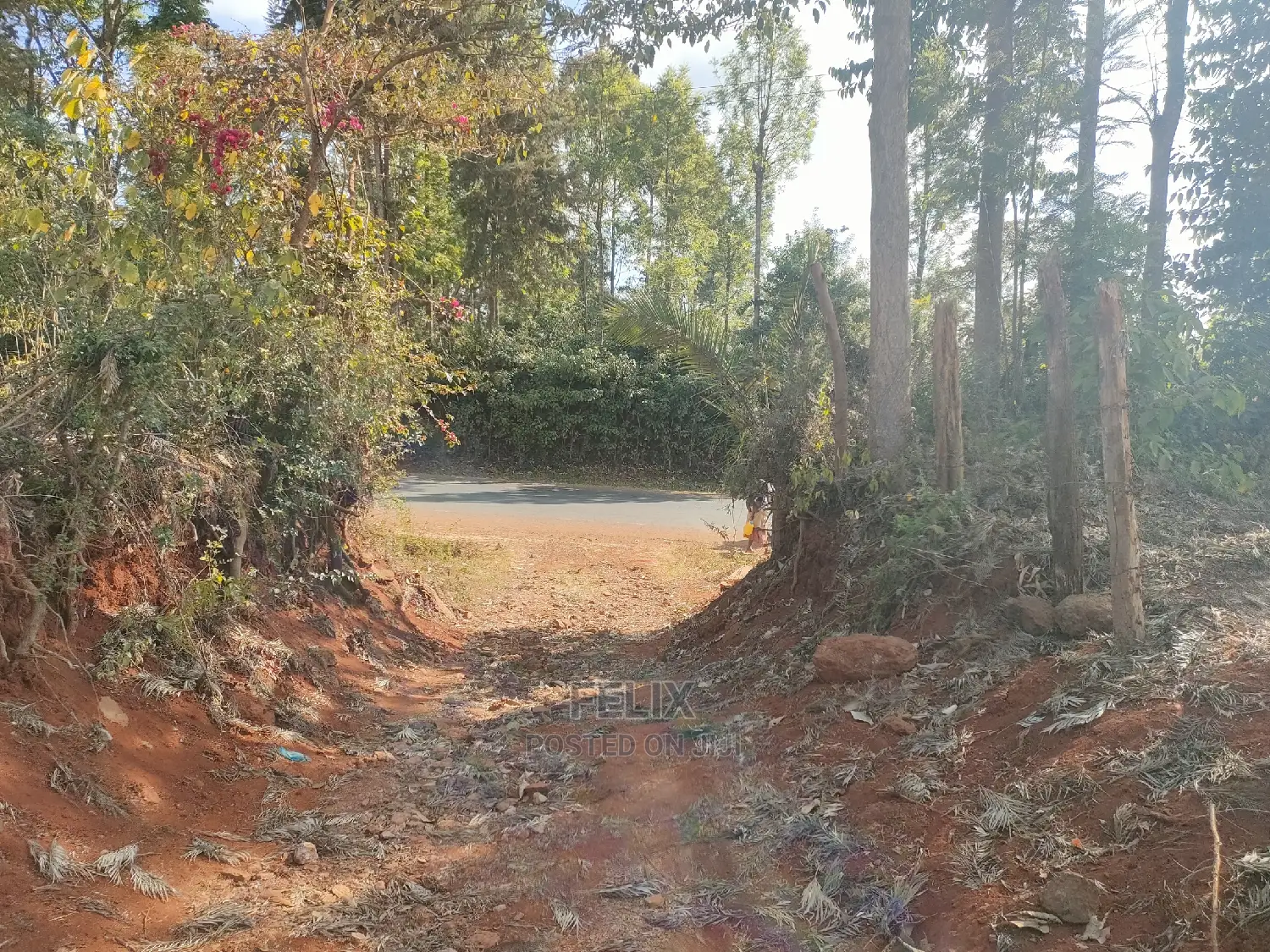 Karatina/ Grandkago Prime Plot Touching Main Tarmac