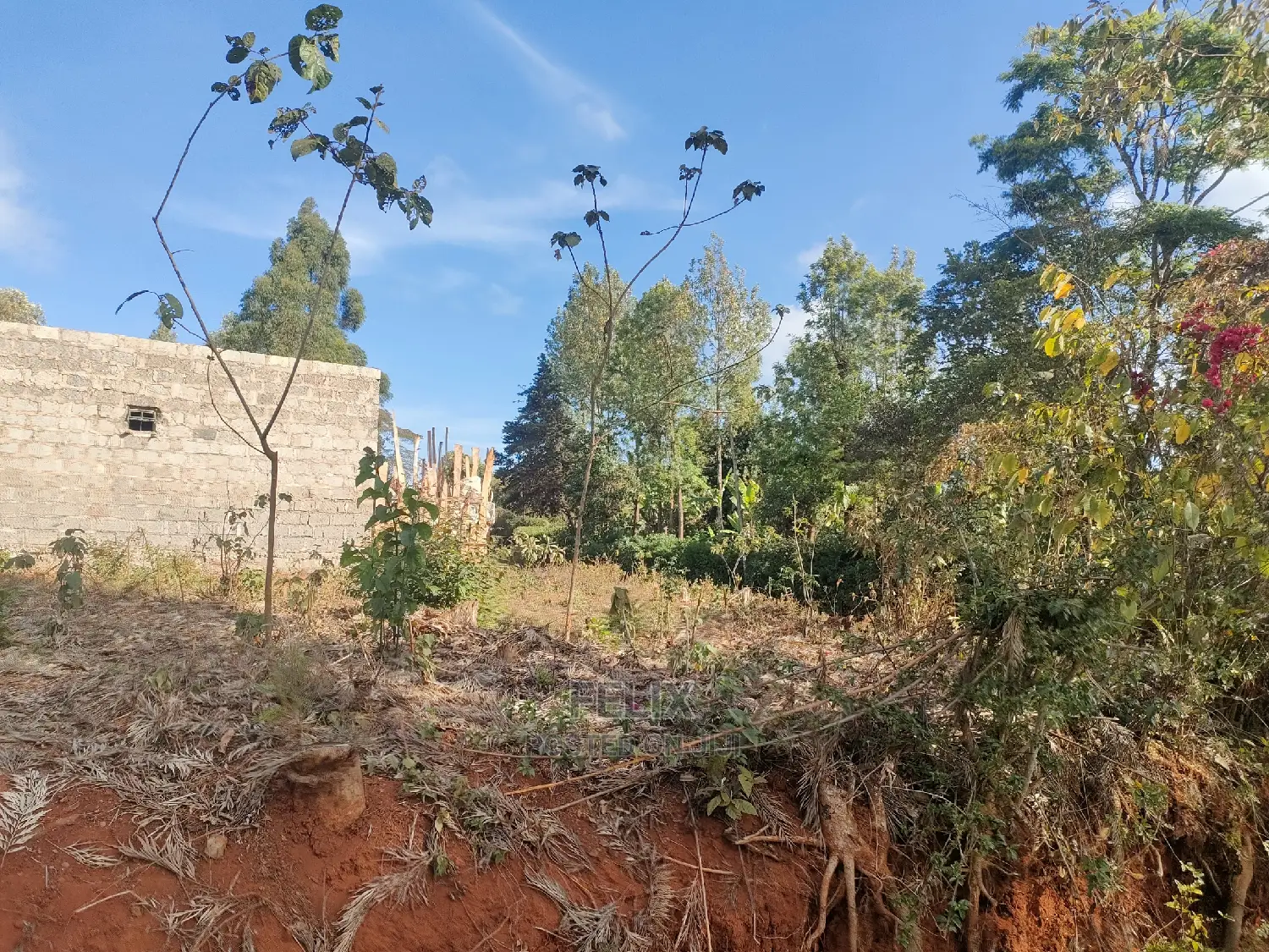 Karatina/ Grandkago Prime Plot Touching Main Tarmac