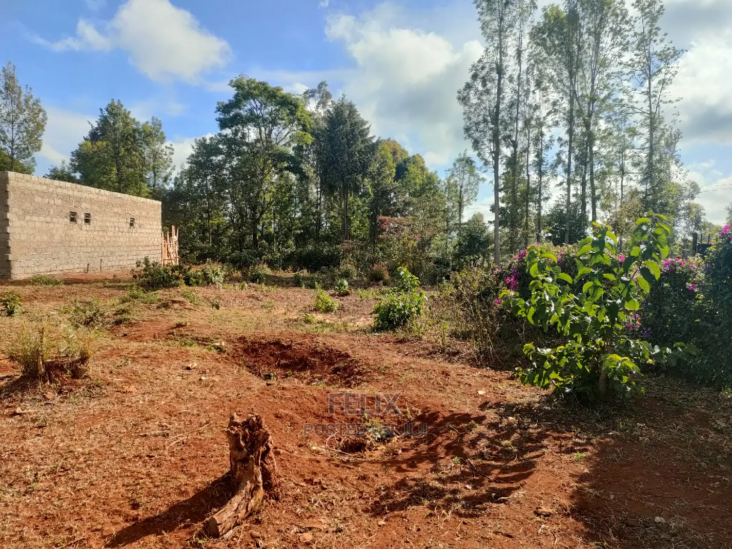 Karatina/ Grandkago Prime Plot Touching Main Tarmac