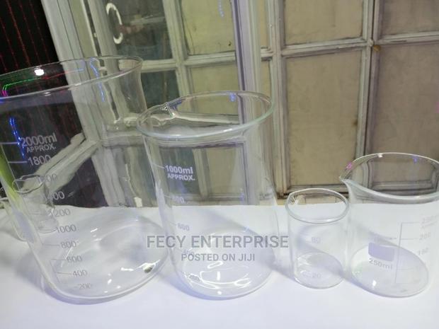 Laboratory Glass Beakers - main view