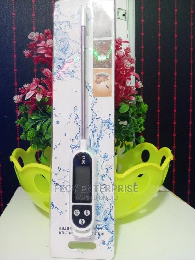 Thermometer - main view