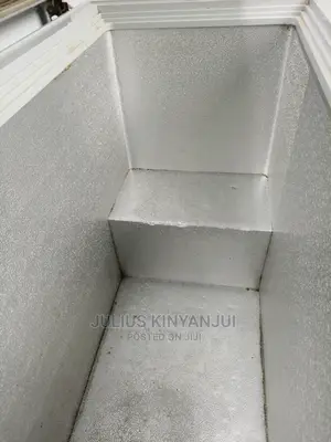 Deep Freezer 300l