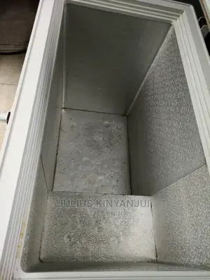 Deep Freezer 300l