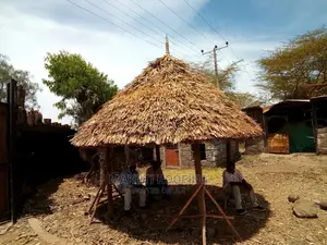 Makuti Unique Gazebo Experts