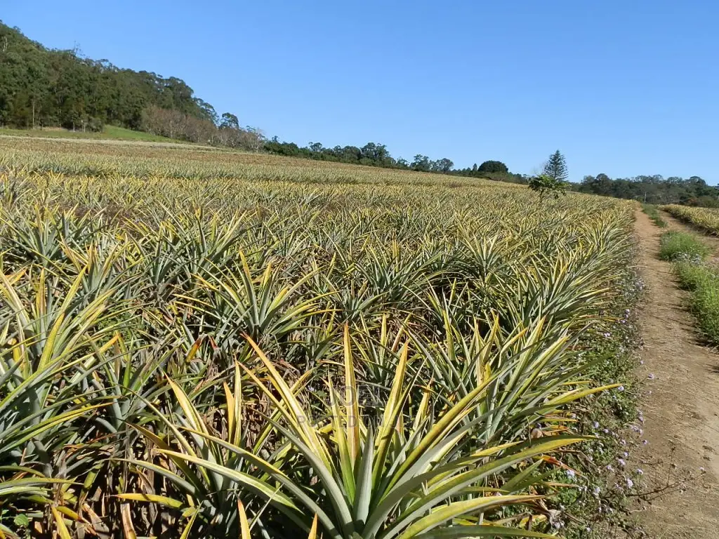 Malindi 40 Acres Fertile Land