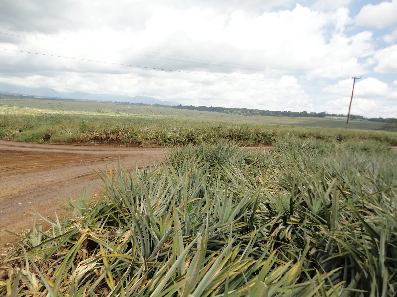 Malindi 55 Acres Land On Sale