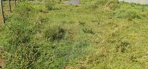 1⁄8 Plot for Sale in Elgonview Kusco in Eldoret