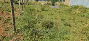 1⁄8 Plot for Sale in Elgonview Kusco in Eldoret