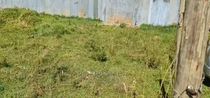 1⁄8 Plot for Sale in Elgonview Kusco in Eldoret