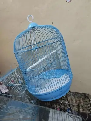 Lovebirds and Budgies Cages,Cages