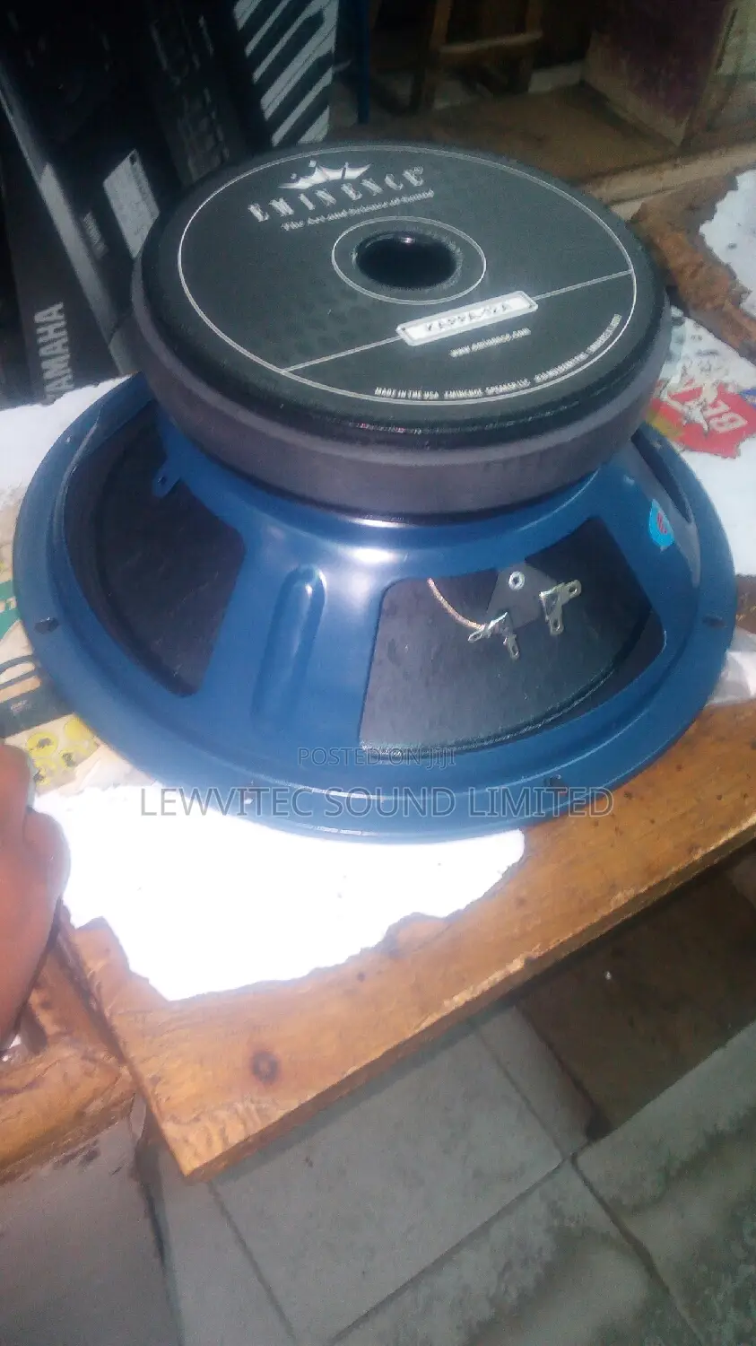 Eminence 12 Inch Speaker.