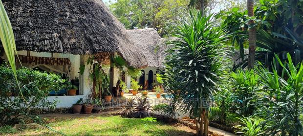 3 Bedroom Own Compound Cottage Available for Holiday Rental. - thumbnail 12