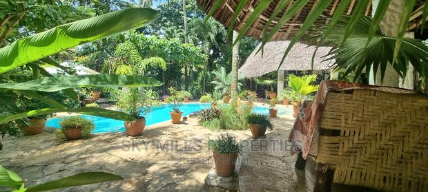 3 Bedroom Own Compound Cottage Available for Holiday Rental. - thumbnail 17