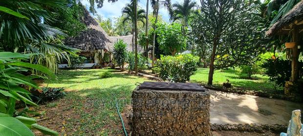 3 Bedroom Own Compound Cottage Available for Holiday Rental. - thumbnail 21