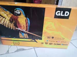 GLD 32 Inches Digital Tv Flameless