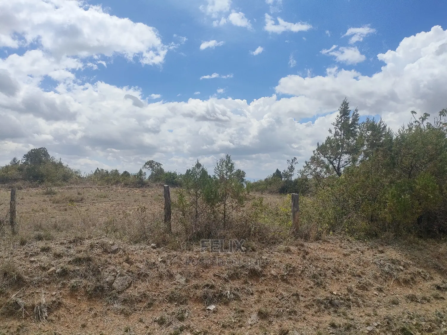 2 Acres Narumoru/Blueline Rongai Touching Main Tarmac