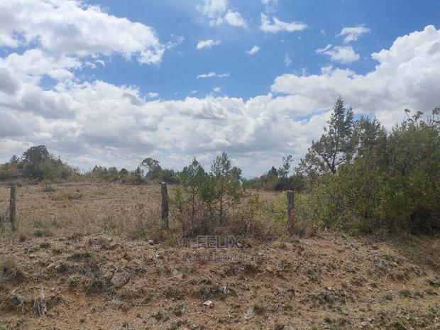 2 Acres Narumoru/Blueline Rongai Touching Main Tarmac - main view