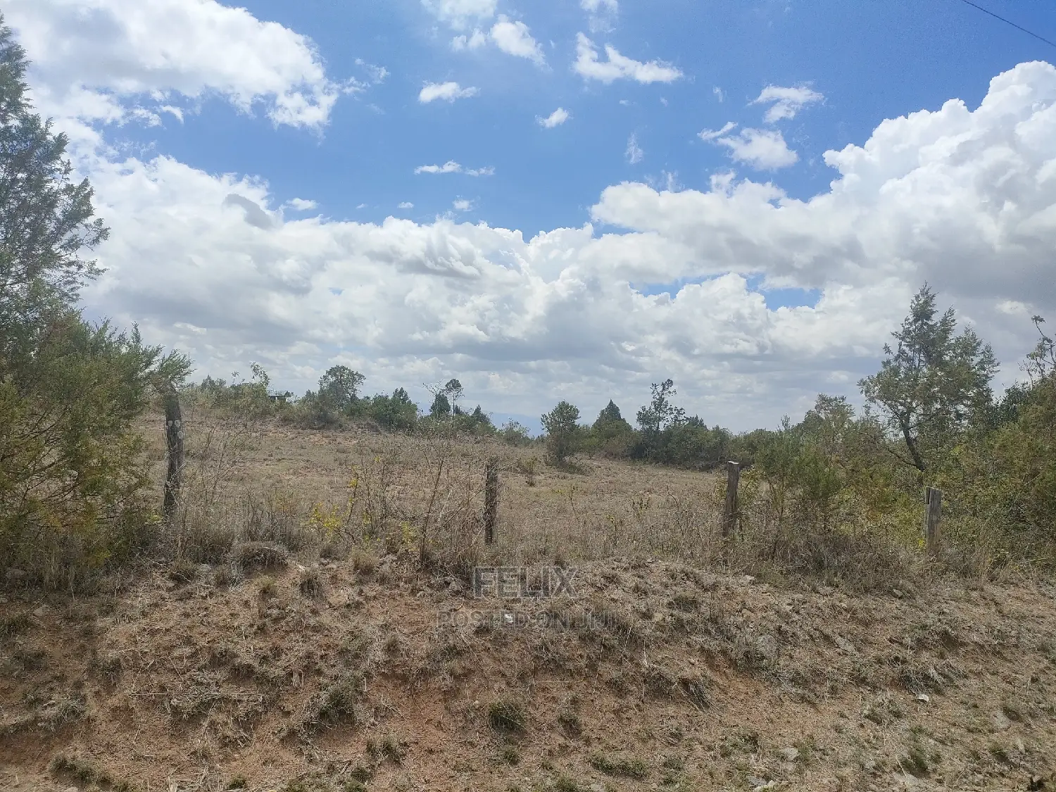 2 Acres Narumoru/Blueline Rongai Touching Main Tarmac
