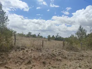 2 Acres Narumoru/Blueline Rongai Touching Main Tarmac