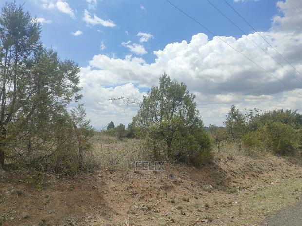 2 Acres Narumoru/Blueline Rongai Touching Main Tarmac - thumbnail 6