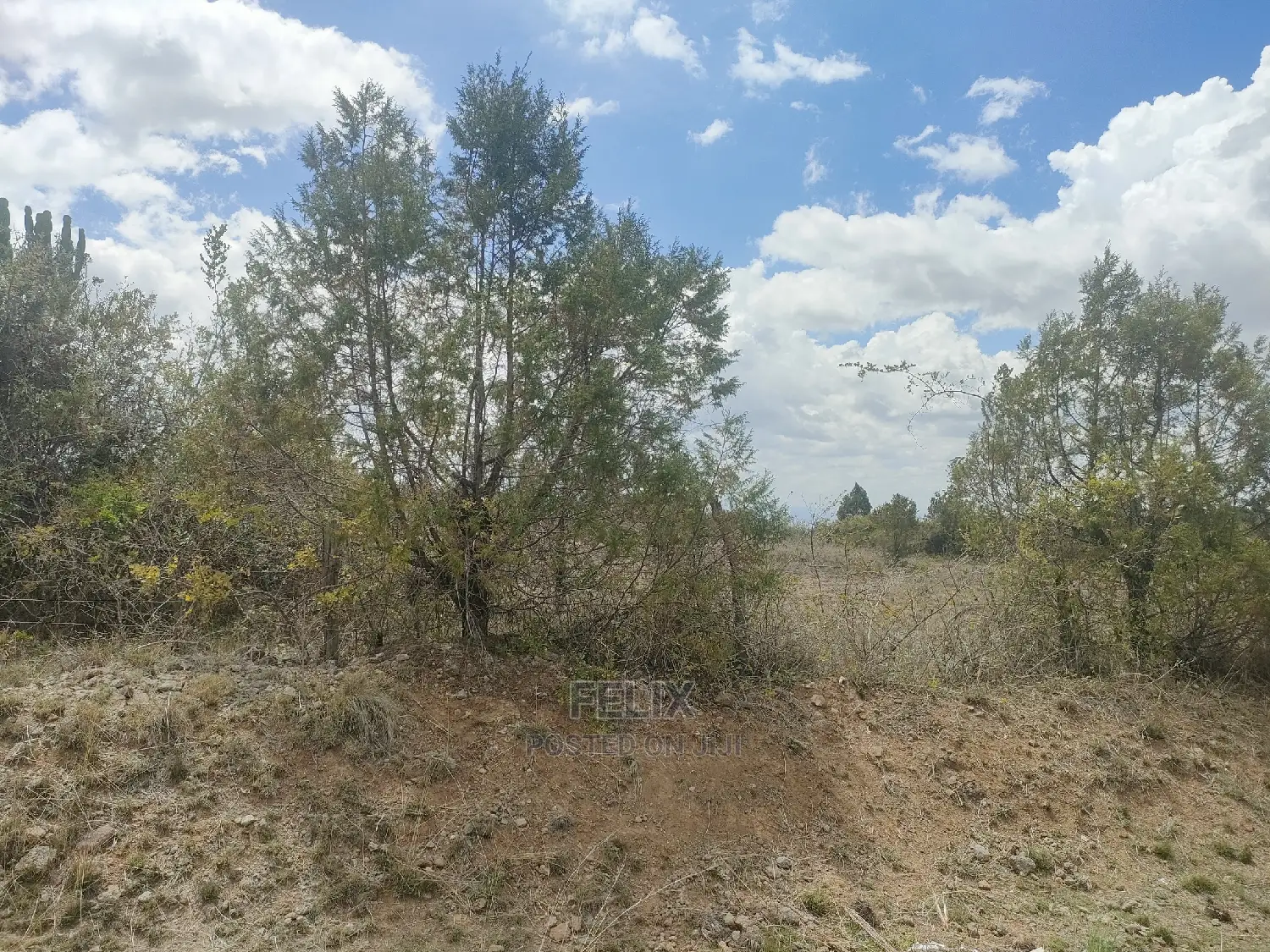 2 Acres Narumoru/Blueline Rongai Touching Main Tarmac
