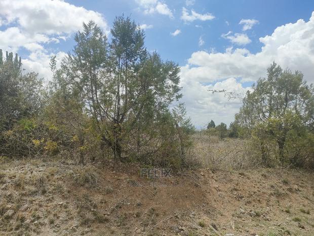 2 Acres Narumoru/Blueline Rongai Touching Main Tarmac - thumbnail 7